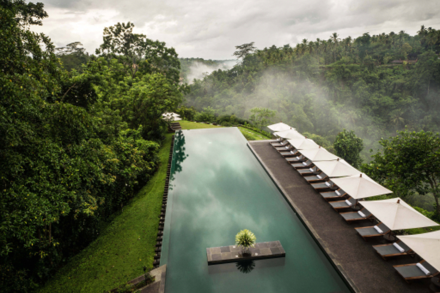 views of pool and forest