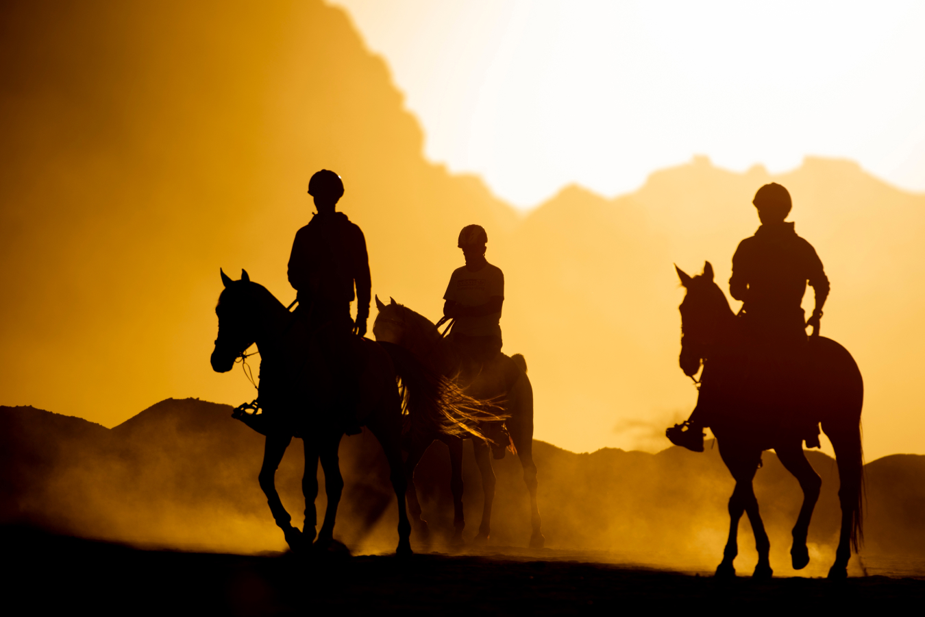 people riding horses at sunset
