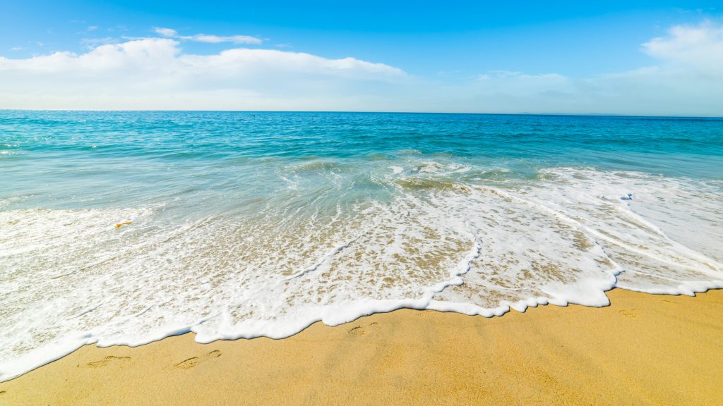 the ocean waves on the shore