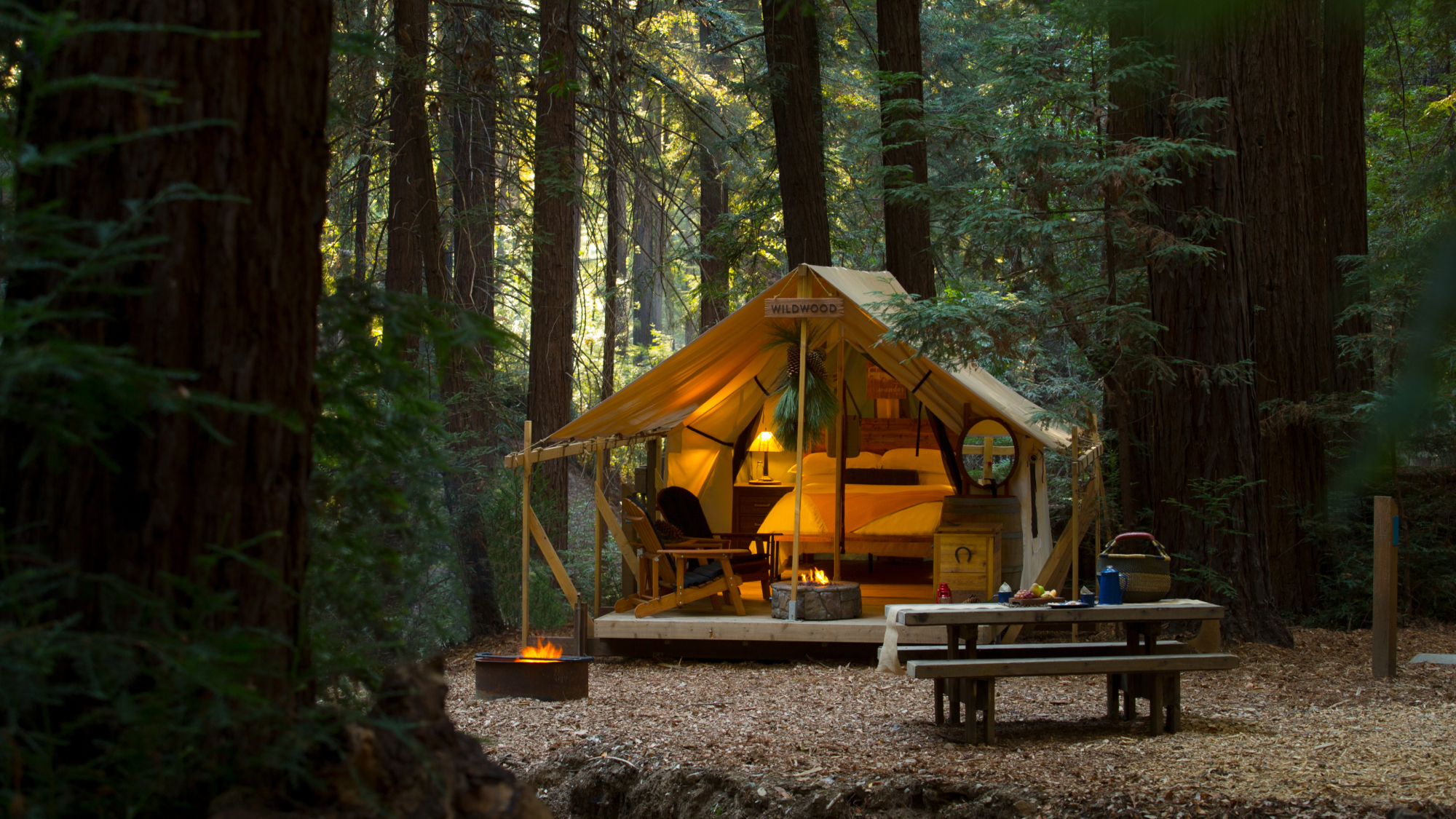 glamping in forest