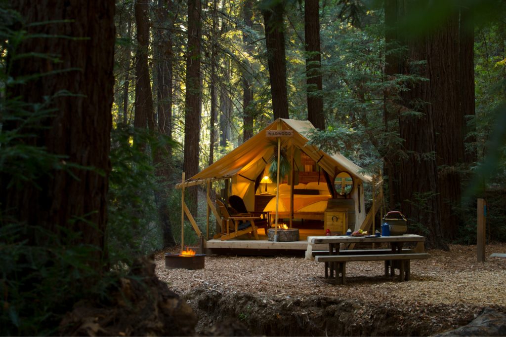 glamping in the forest