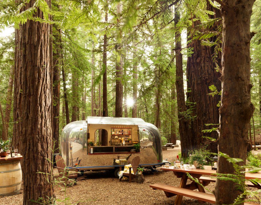 glampsite in the forest