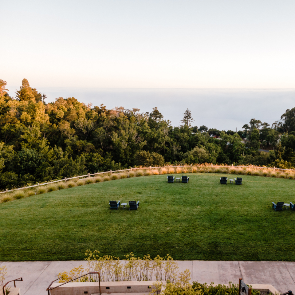 meadow lawn looking out onto the ocean