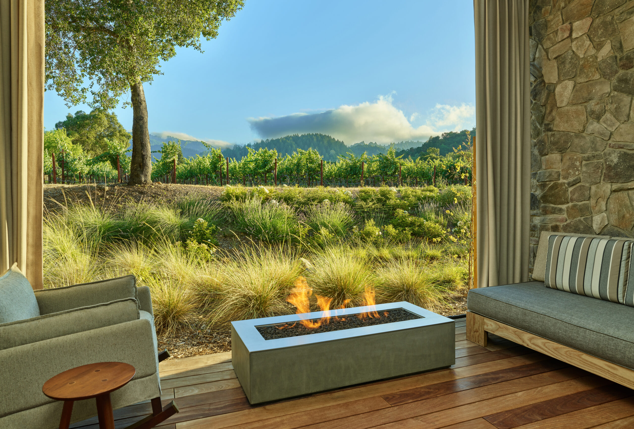 Vineyard View Patio With Firepit