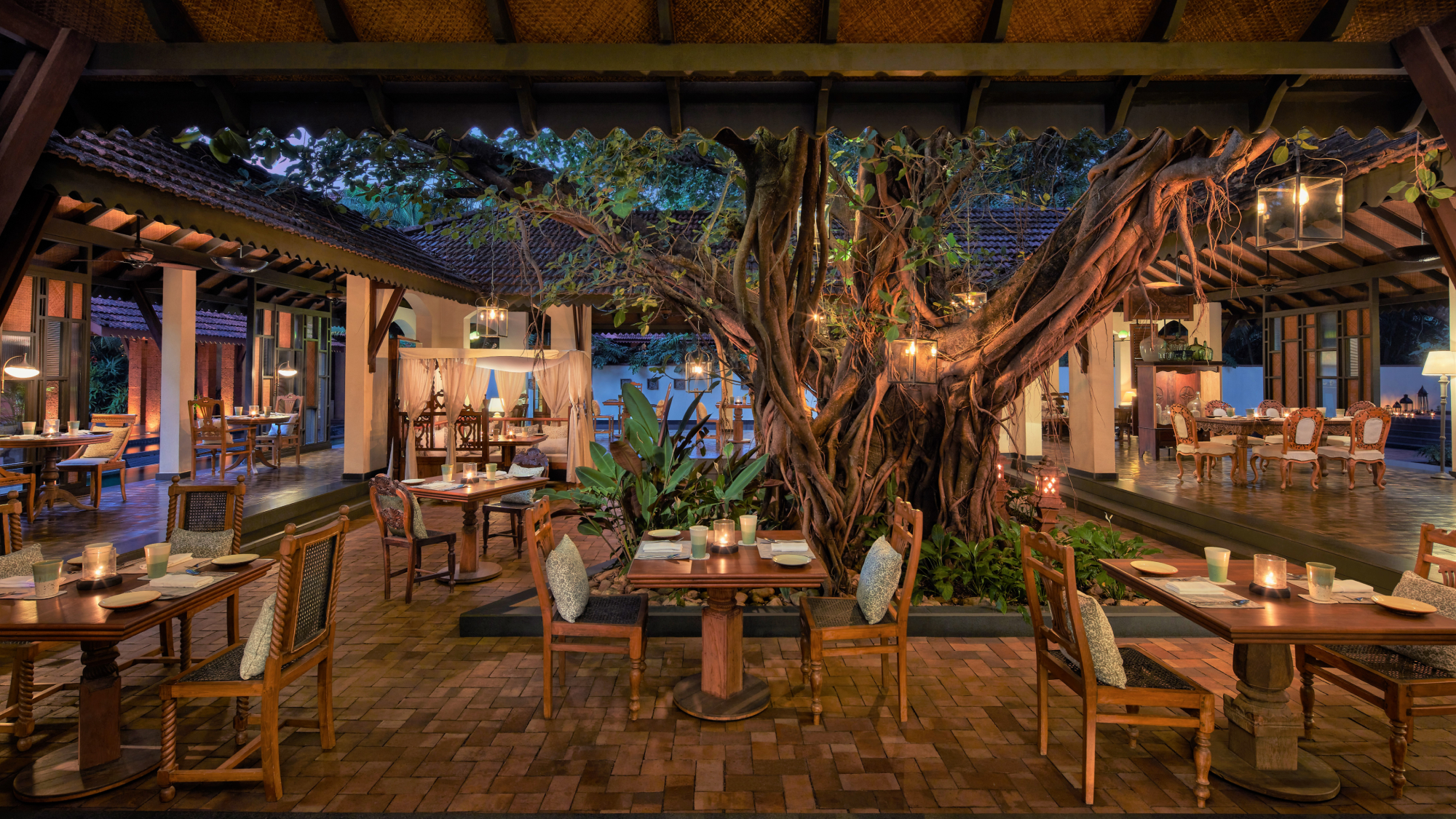 outdoor restaurant with large tree and lights