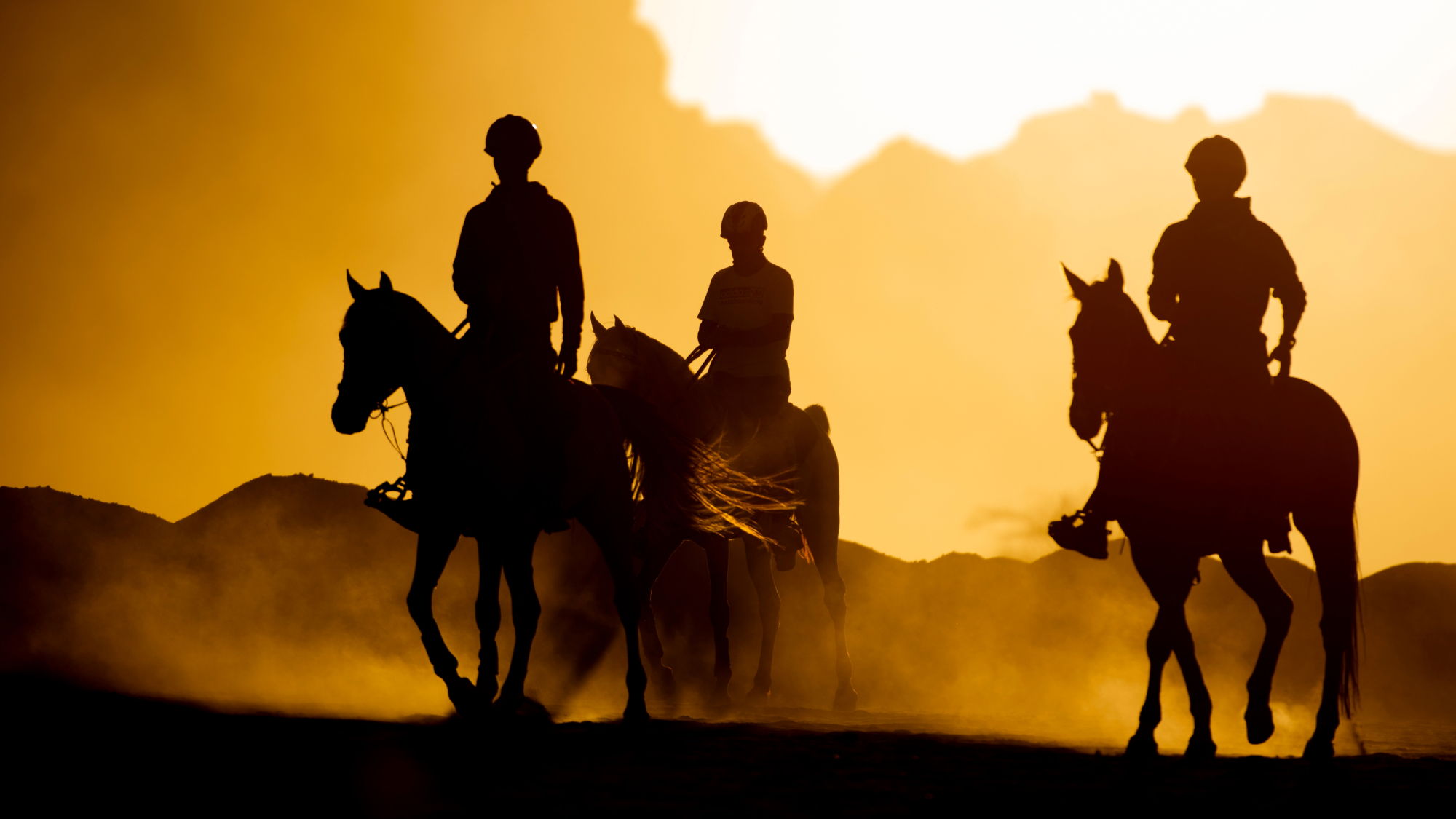 people riding on horses