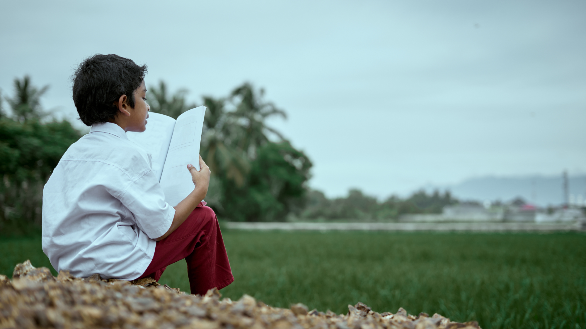 boy sitting and reading