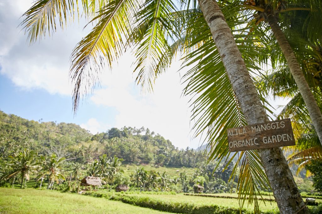 views of the organic garden entrance