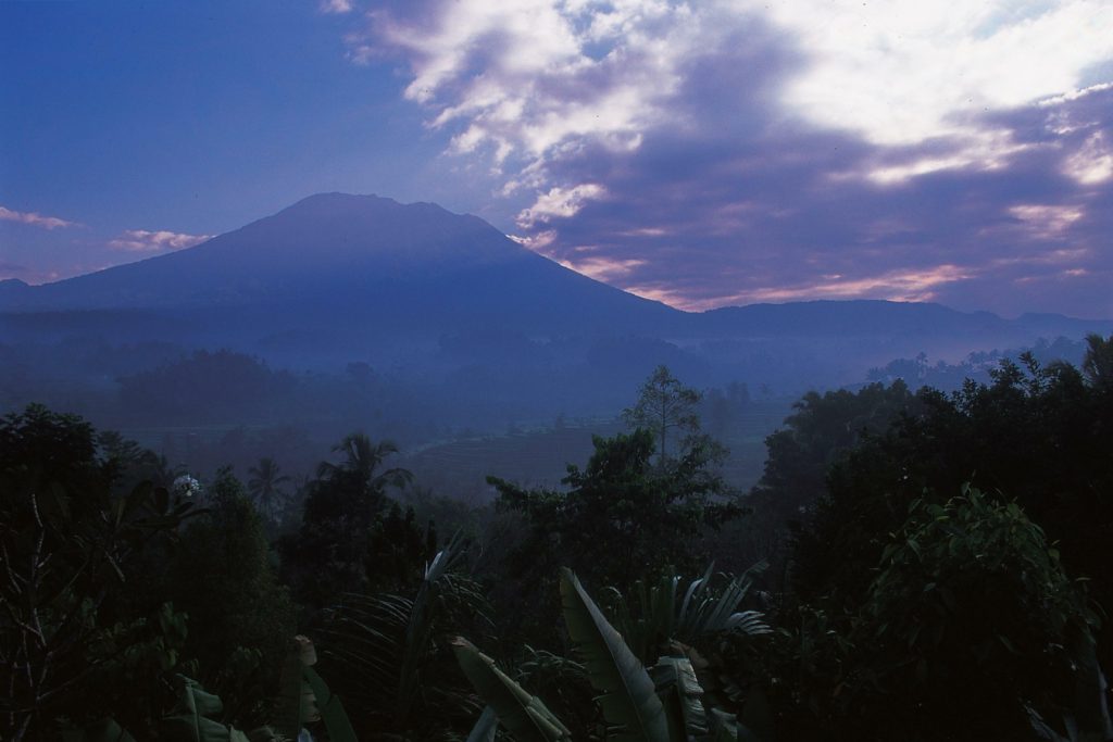 view of mountain and forest at dawn
