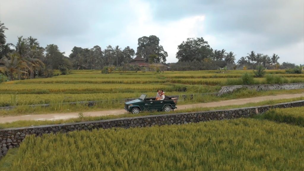 couple in a car driving through the jungle on a safari