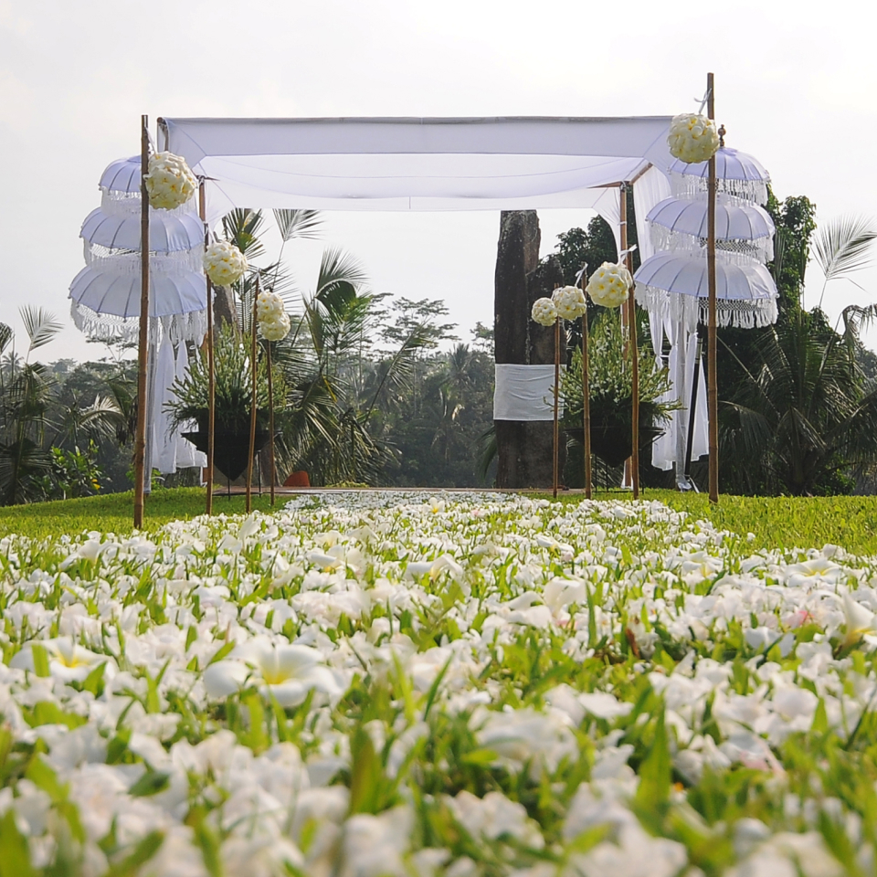 white canopy in a field of flowers