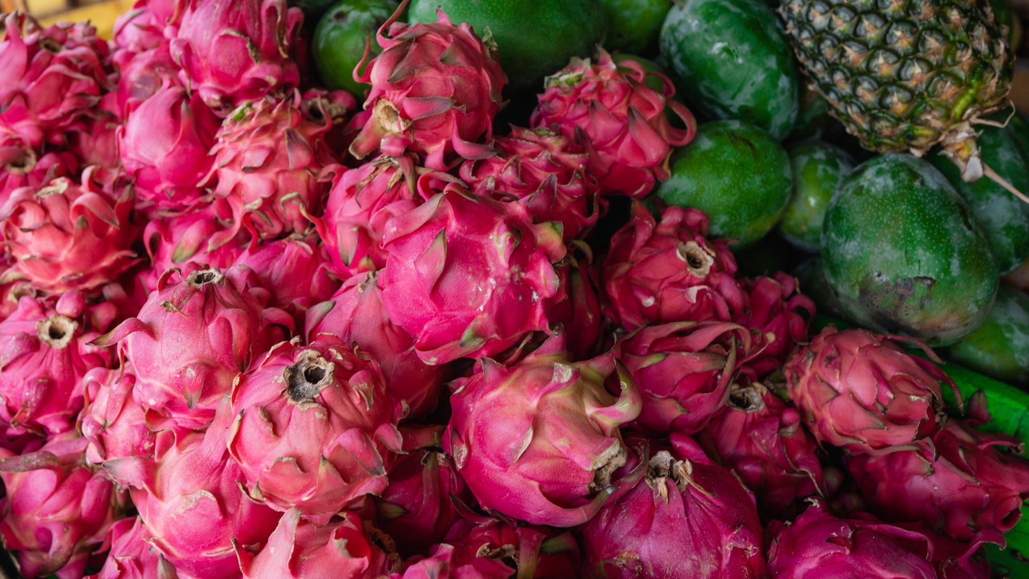 close up of fresh local produce