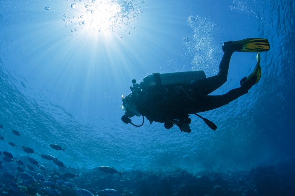 View of diver from under water