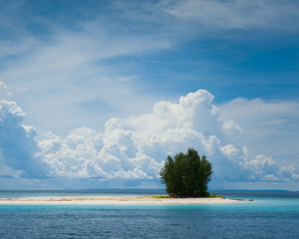 Single tree on a sandbar surrounded by ocean and clouds