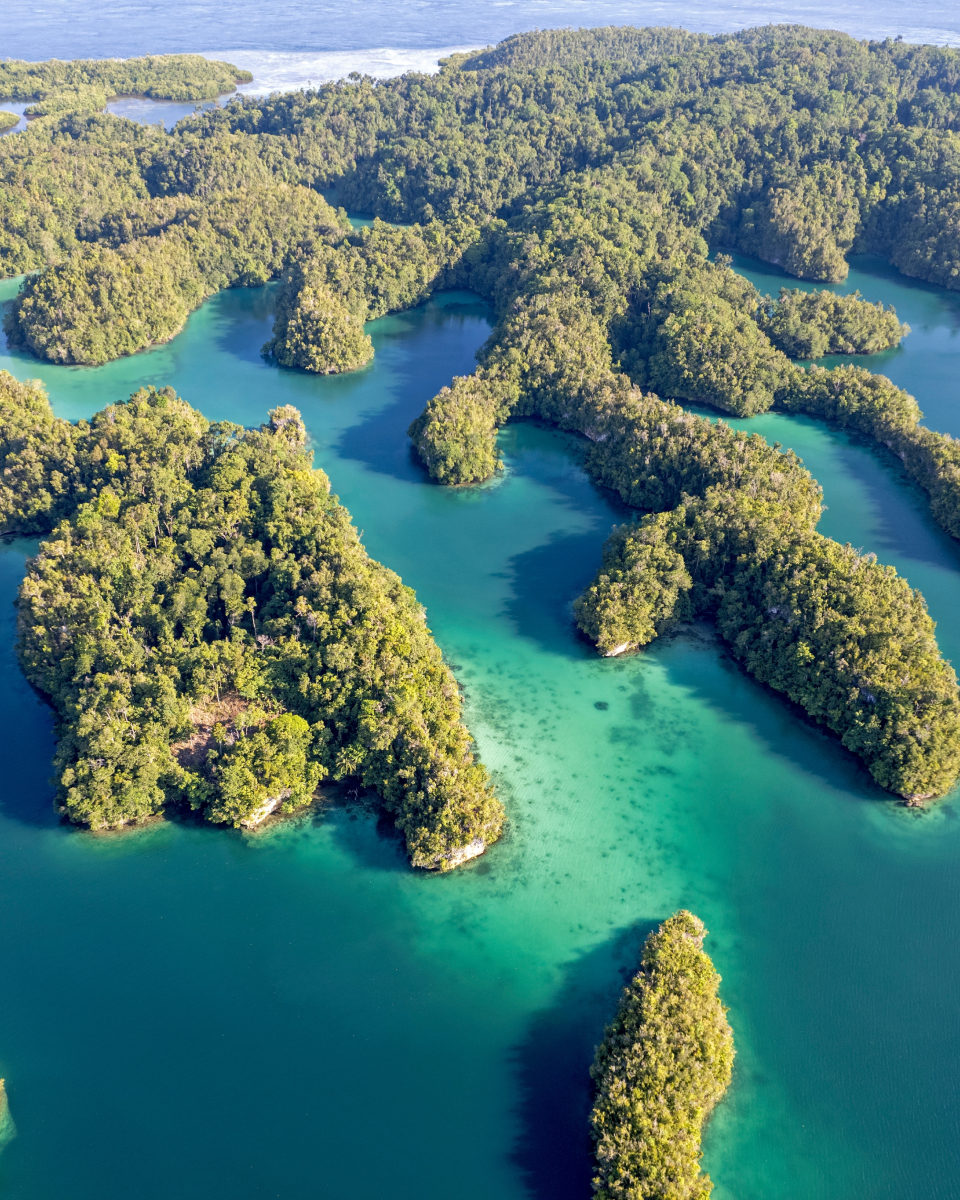 Overhead shot of islands covered in tropical forests